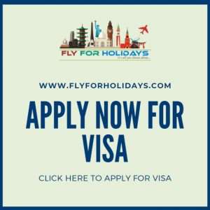 Apply for a Visa in a Few Clicks!