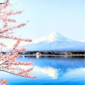 Japan visa for Indians - Fly For Holidays