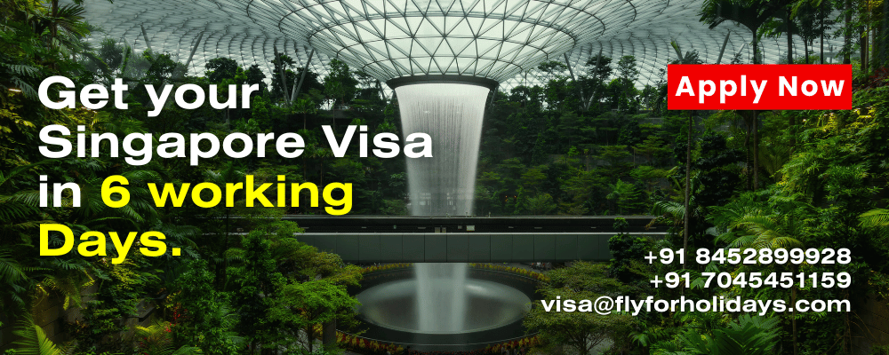 Singapore Visa for Indians - Fly For Holidays