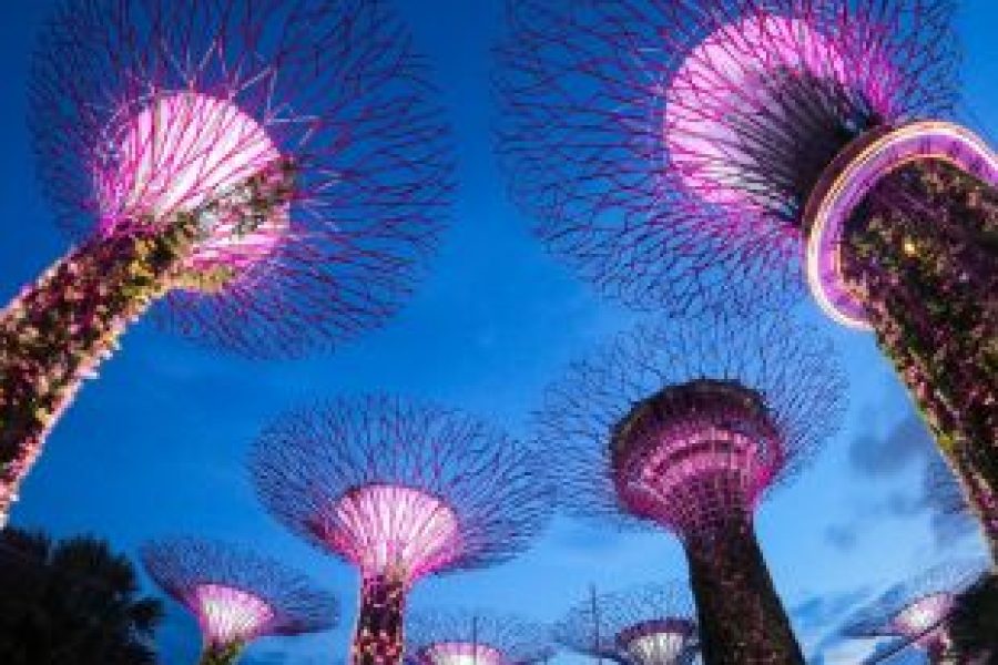 Singapore 5 Days Package From Mumbai