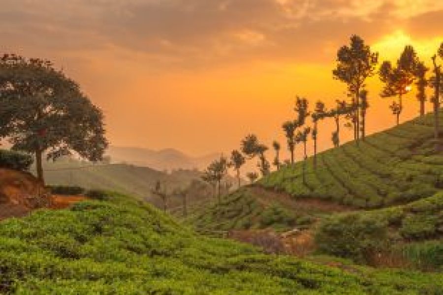 Kerala Honeymoon Packages - Fly For Holidays