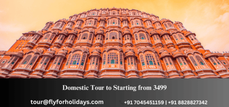 Domestic Tour Packages Fly-For-Holidays