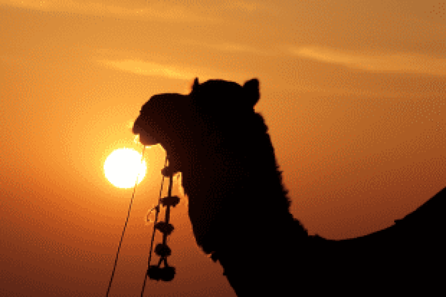 Jaisalmer Short Trip Tour 3 Nights 4 Days Fly-For-Holidays