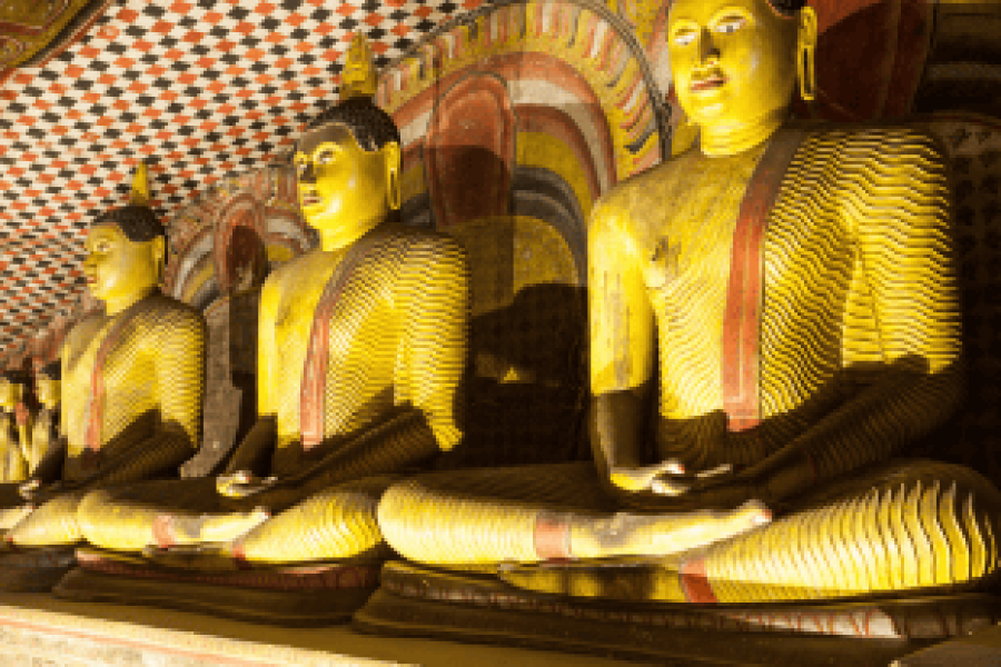 Tirupati Couple Package 4 Nights 5 Days Fly-For-Holidays