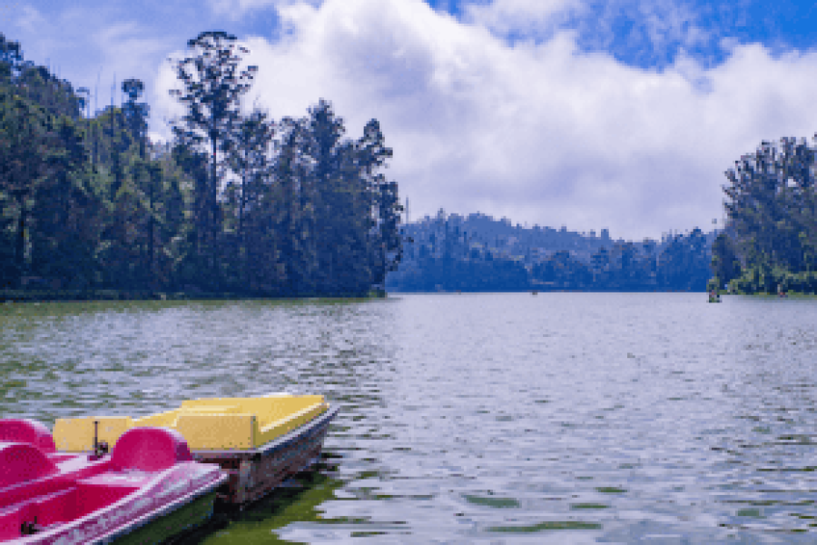 Ooty Kodaikanal Honeymoon Trip 6 Nights 7 Days Fly-For-Holidays