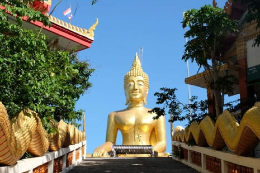 Pattaya MICE Travel Tour 2 Nights 3 Days Fly-For-Holidays