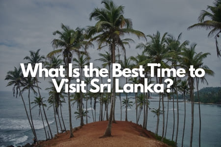 What Is the Best Time to Visit Sri Lanka? Fly-For-Holidays