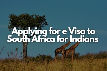 applying for e visa to south africa for indians Fly-For-Holidays