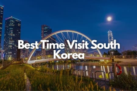 Best Time to Visit South Korea Fly-For-Holidays