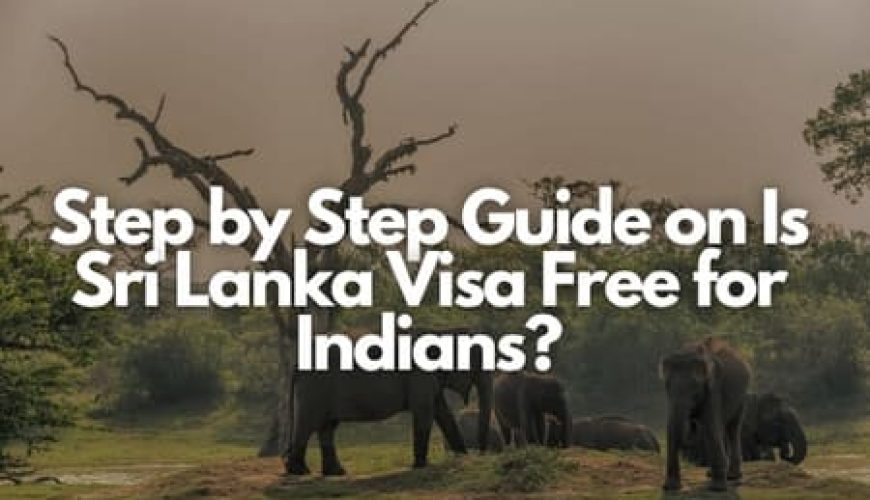 Step by Step Guide on Is Sri Lanka Visa Free for Indians? Fly-For-Holidays