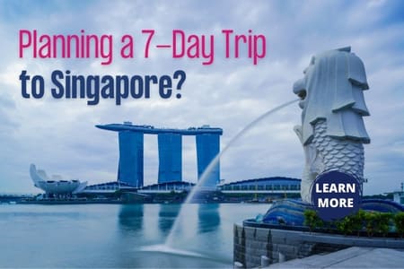 Planning a 7-Day Trip to Singapore? Fly-For-Holidays